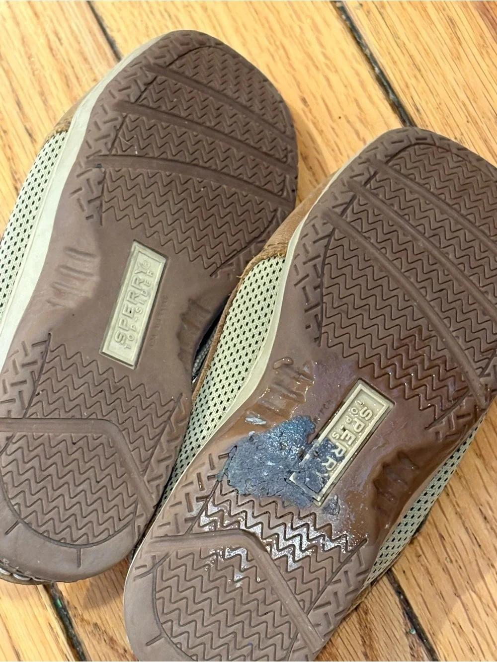Sperry nice boys